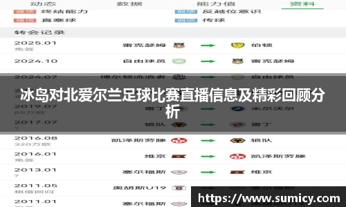 冰岛对北爱尔兰足球比赛直播信息及精彩回顾分析