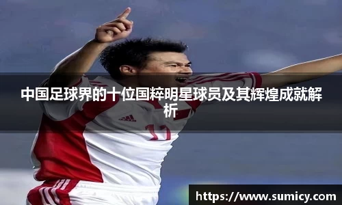 中国足球界的十位国粹明星球员及其辉煌成就解析