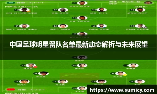 中国足球明星留队名单最新动态解析与未来展望